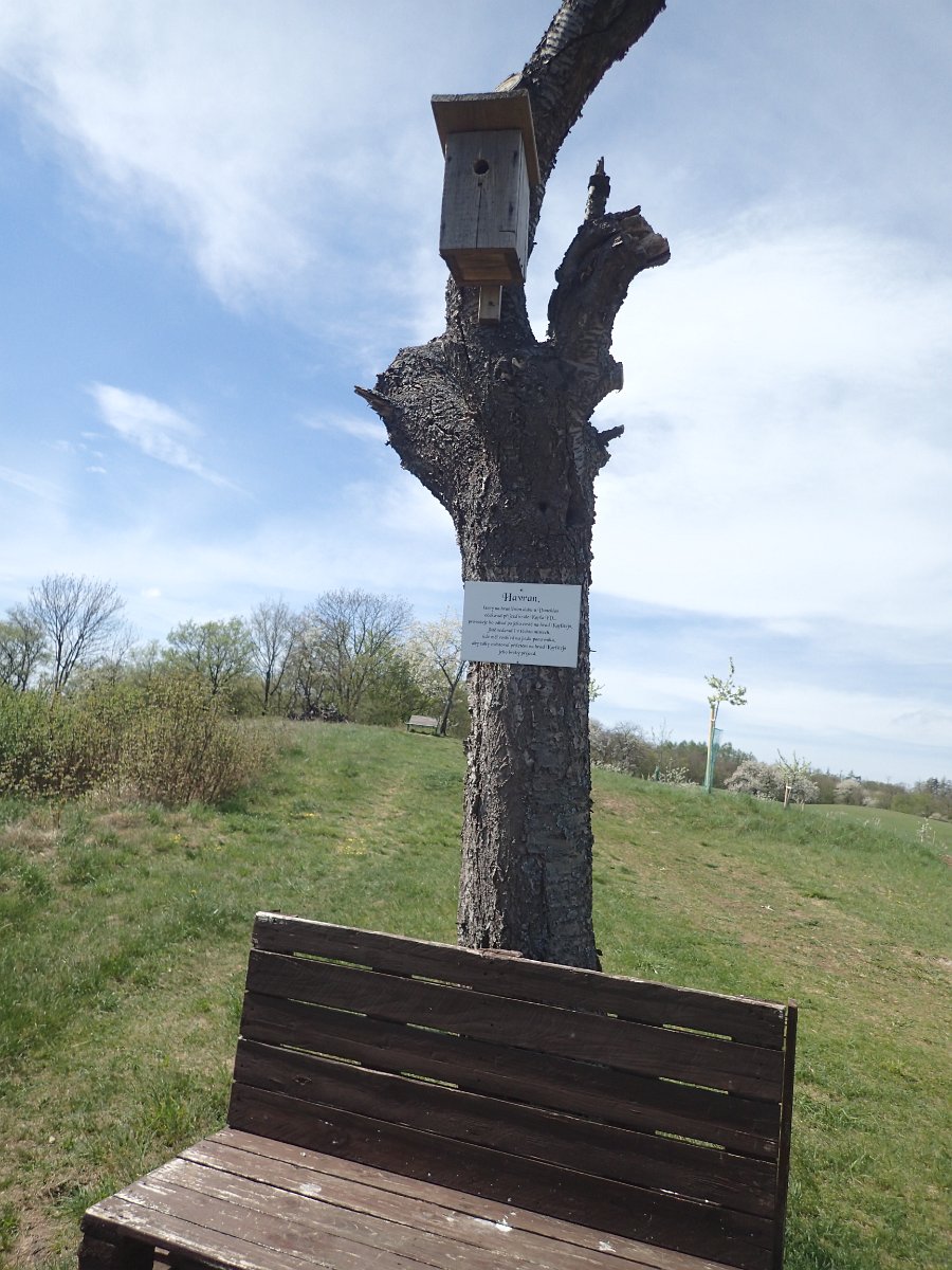P4161541.JPG