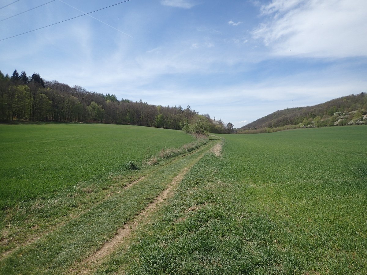 P4161546.JPG