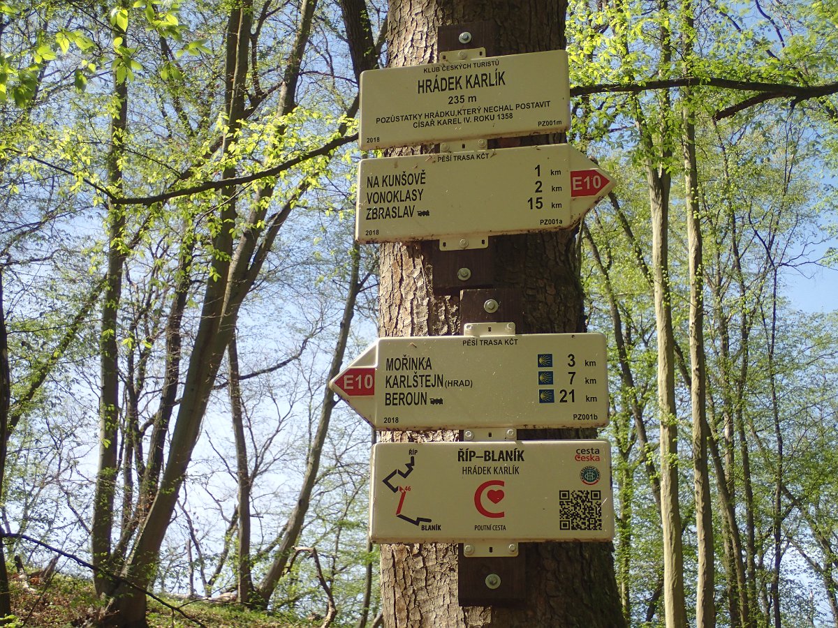 P4161547.JPG