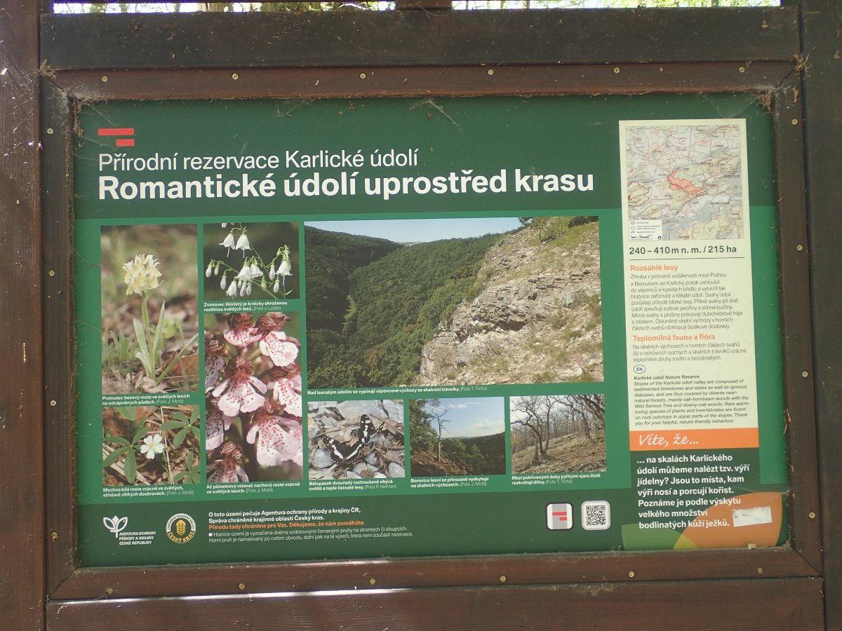 P4161548.JPG