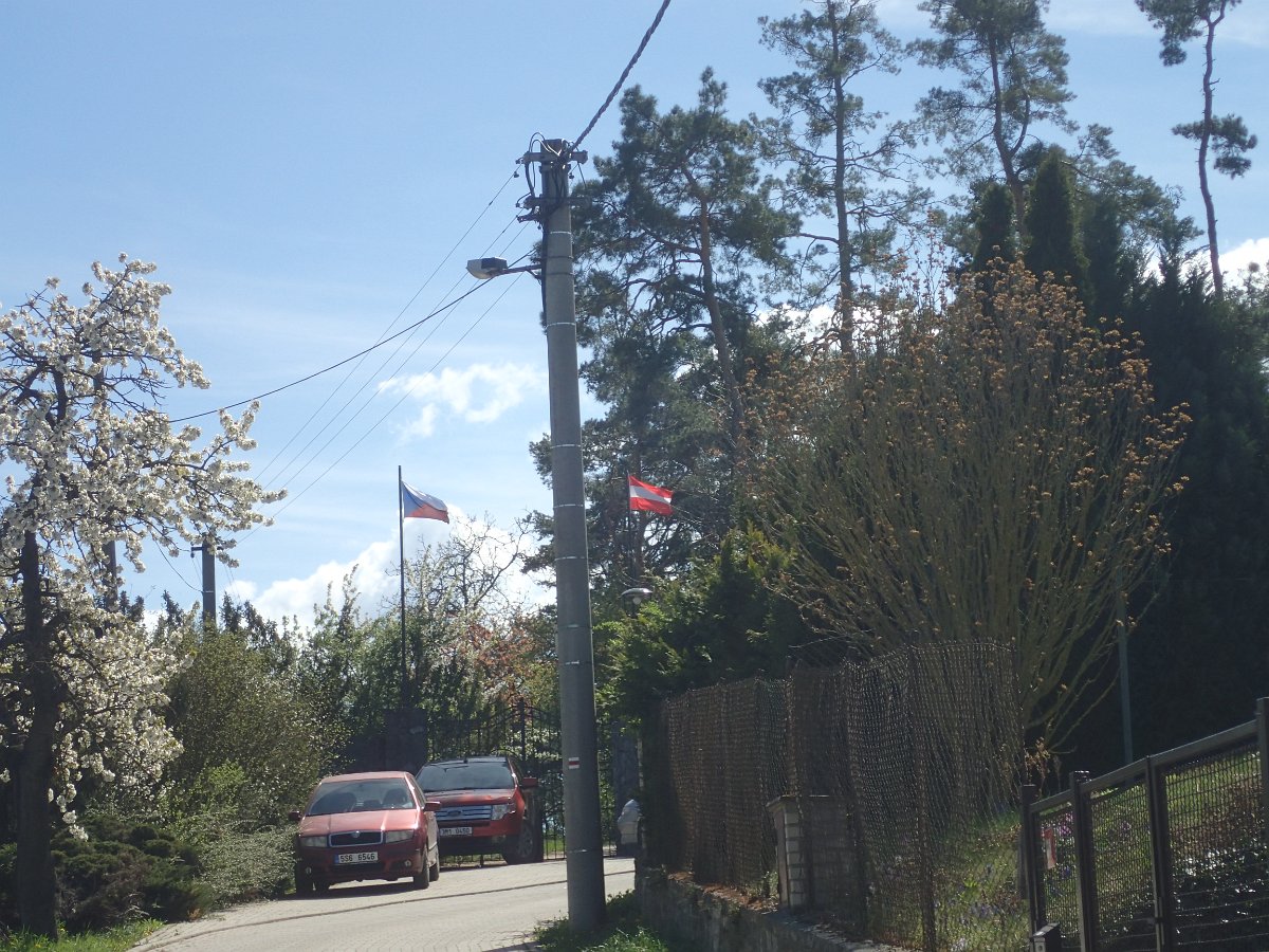 P4161551.JPG