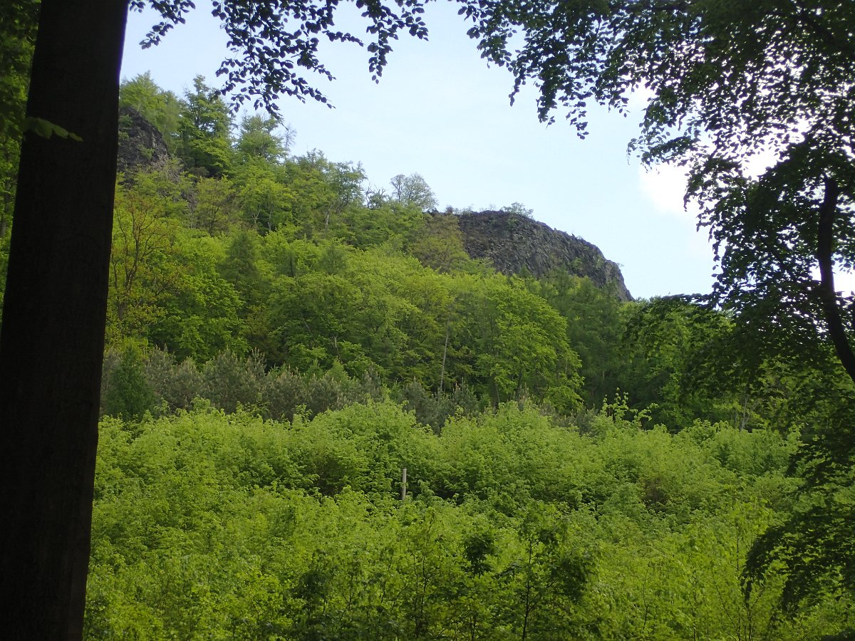 P4301630.JPG