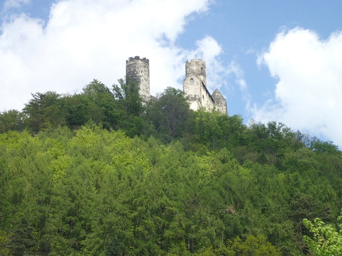 P4301634.JPG