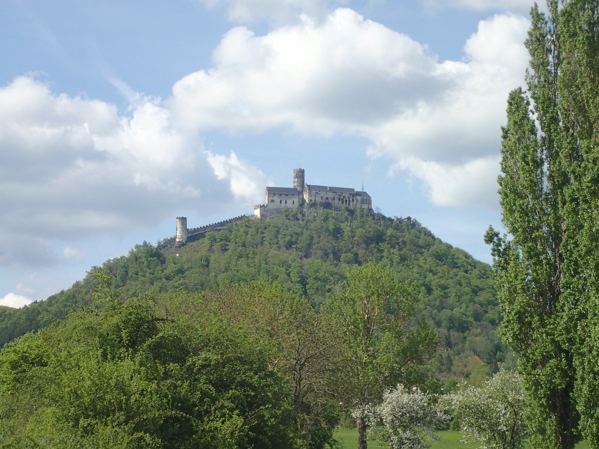 P4301646.JPG