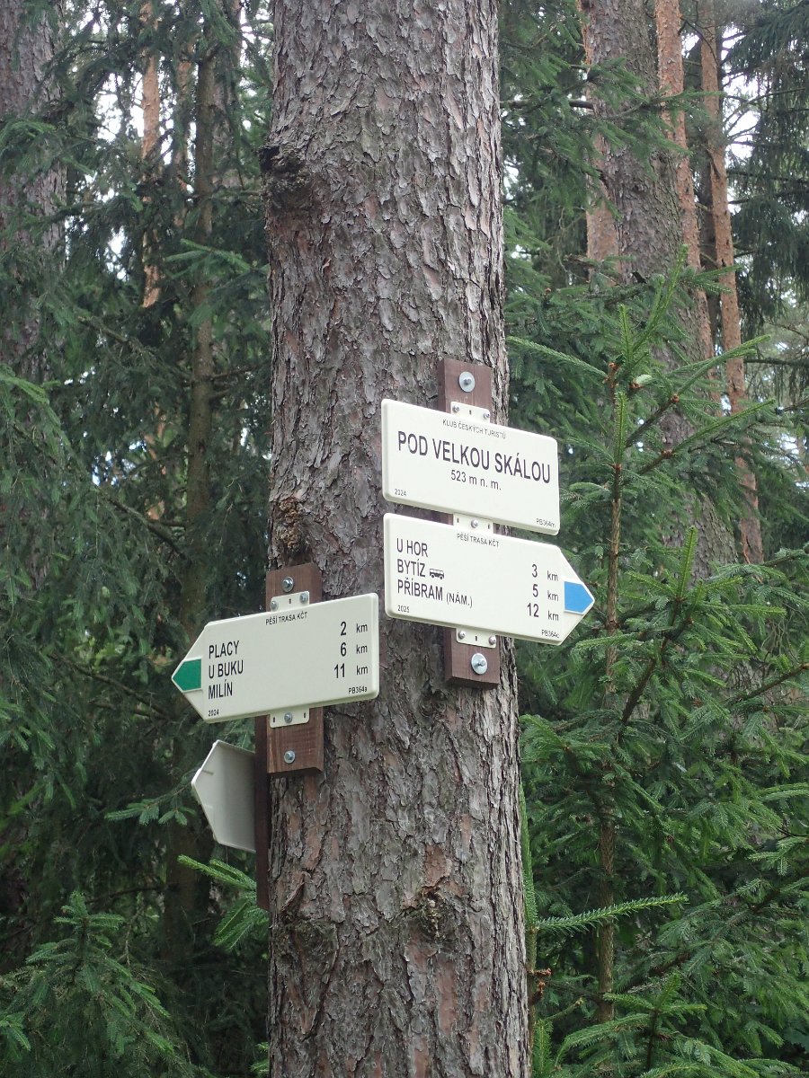 P6251832.JPG