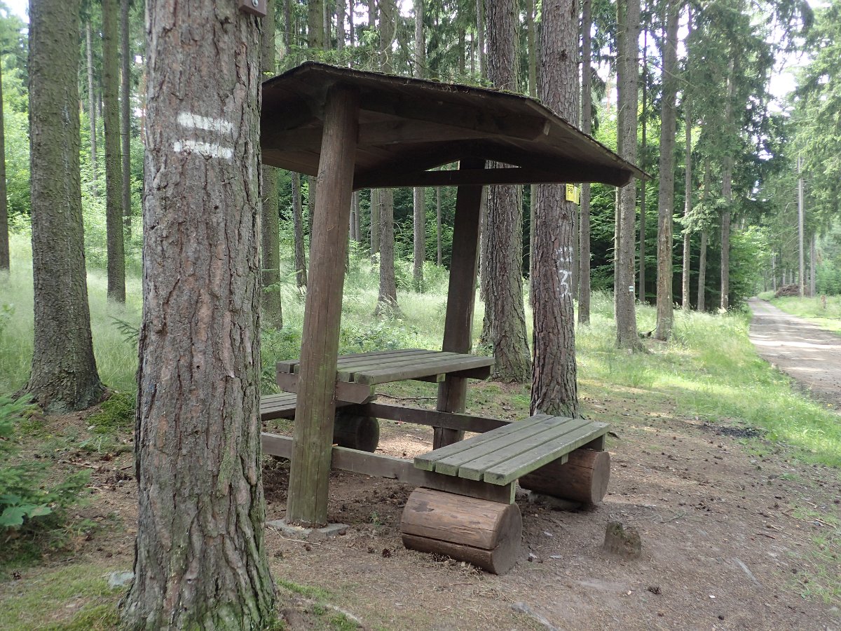 P6251837.JPG
