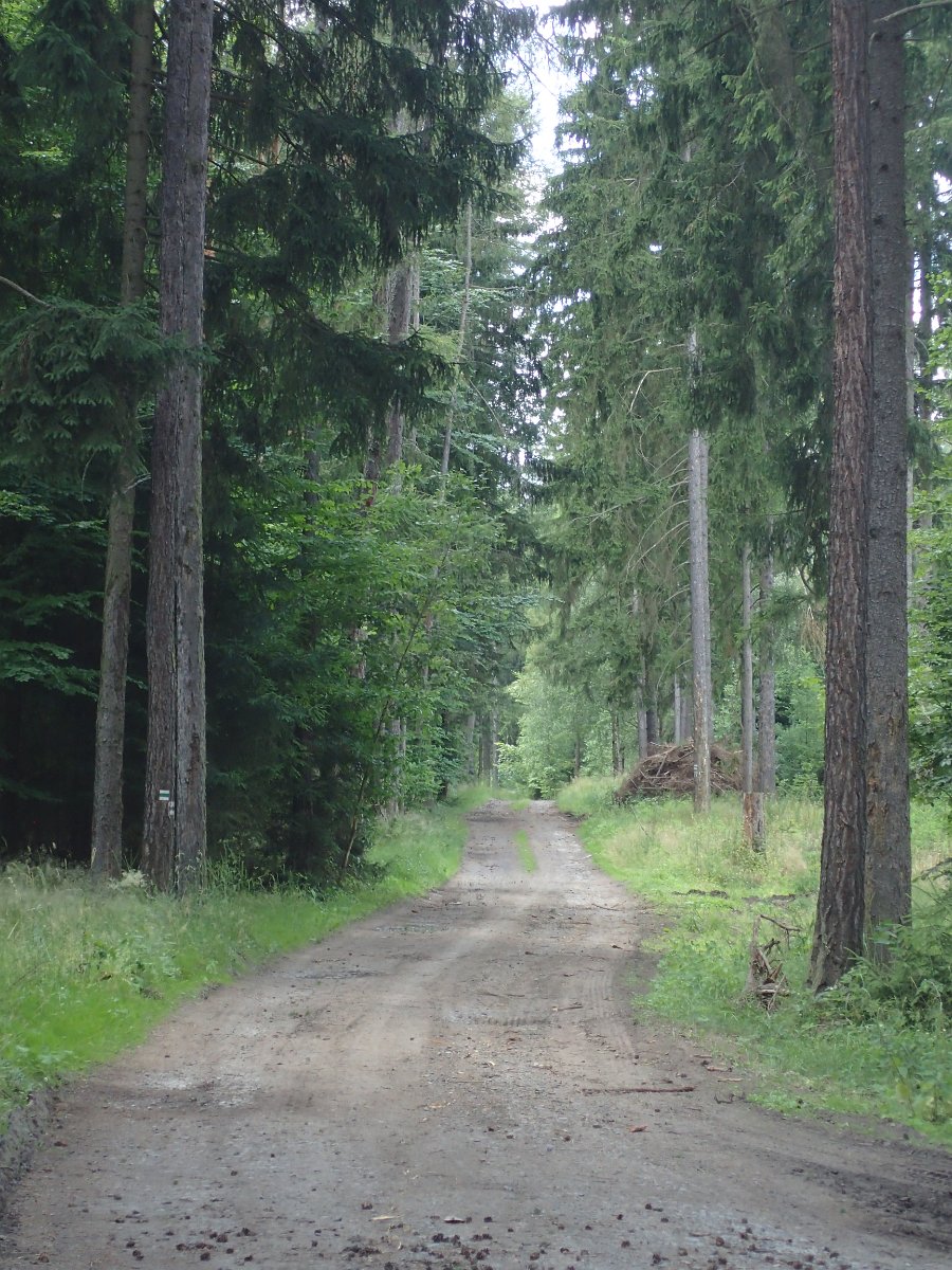 P6251842.JPG