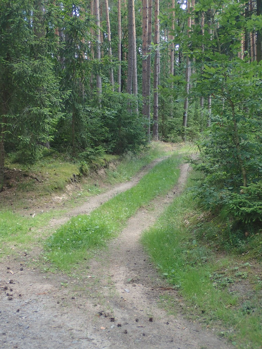 P6251843.JPG