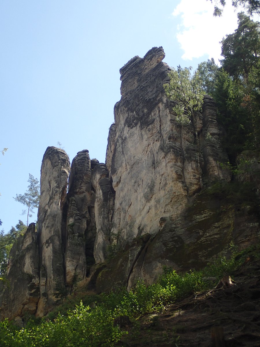 P8062010.JPG
