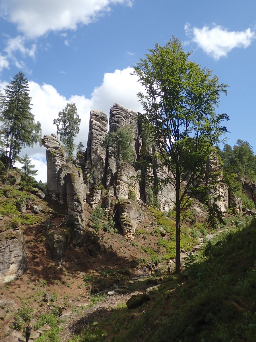 P8062014.JPG