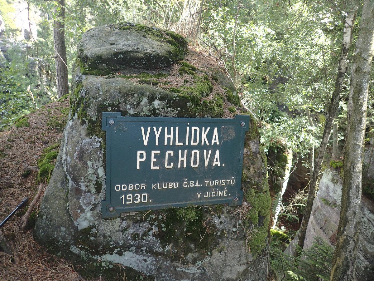 P8062020.JPG
