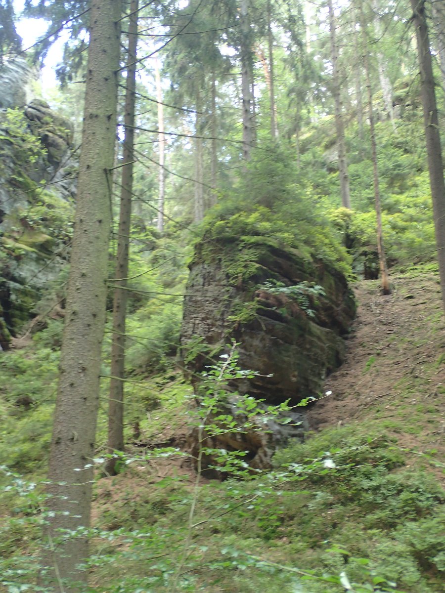 P8062039.JPG