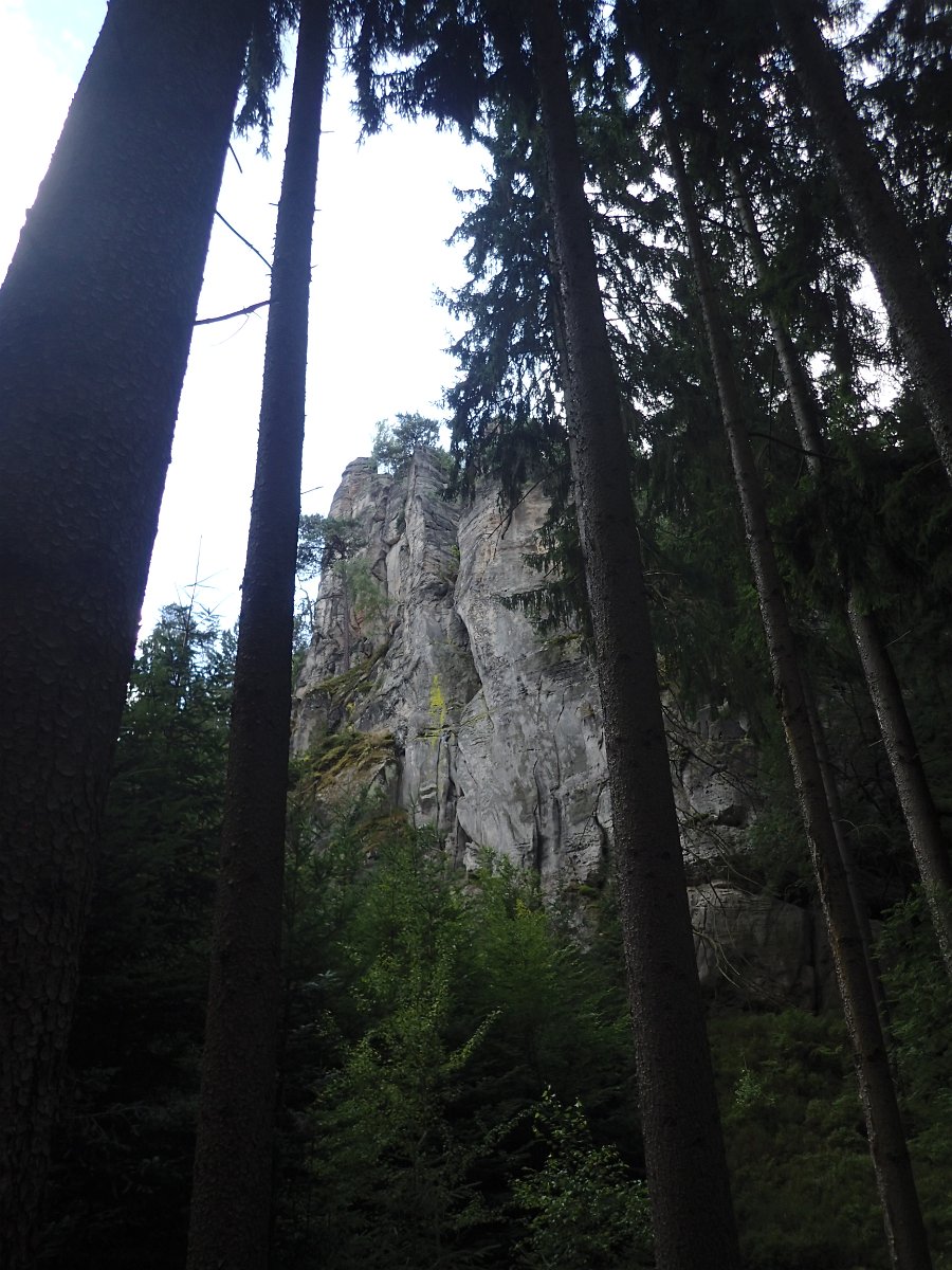 P8062041.JPG
