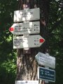 P8061993