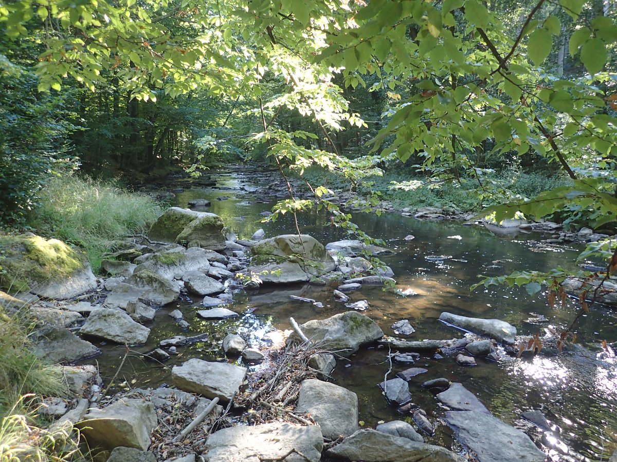P9042244.JPG
