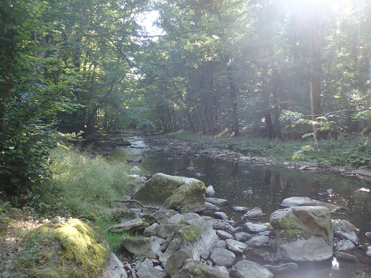 P9042245.JPG
