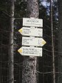 PA022310
