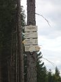PA022311