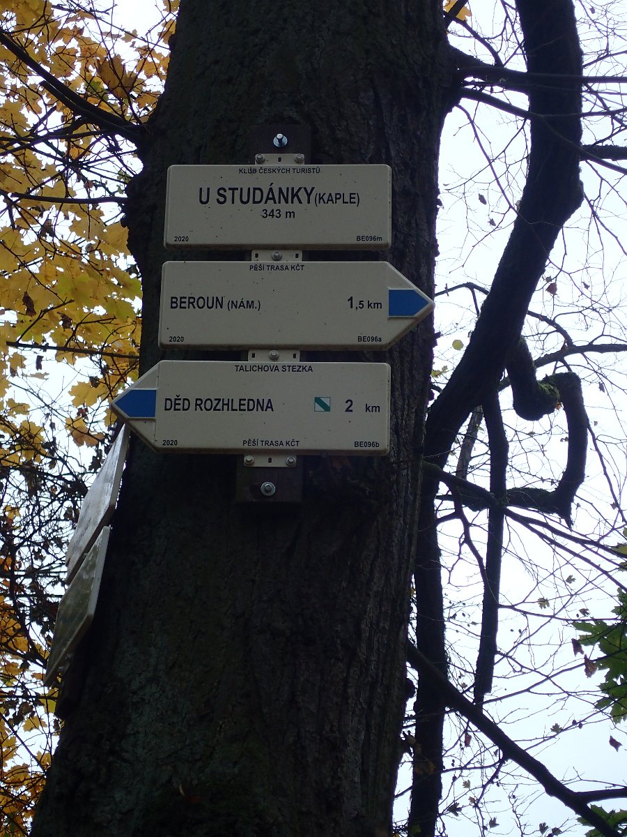 PA282455.JPG