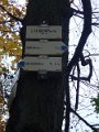 PA282455