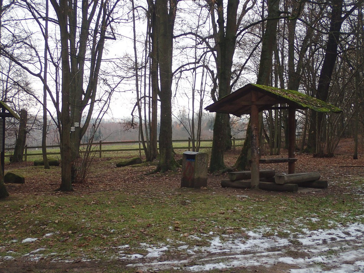 PC032646.JPG