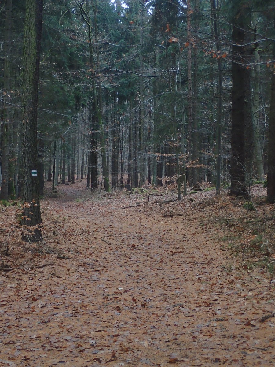 PC032657.JPG