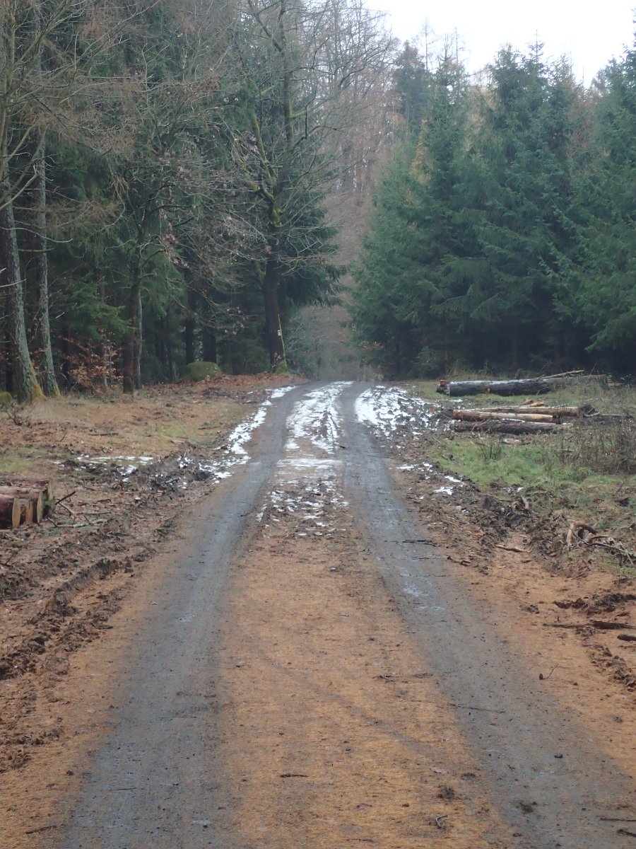 PC032674.JPG