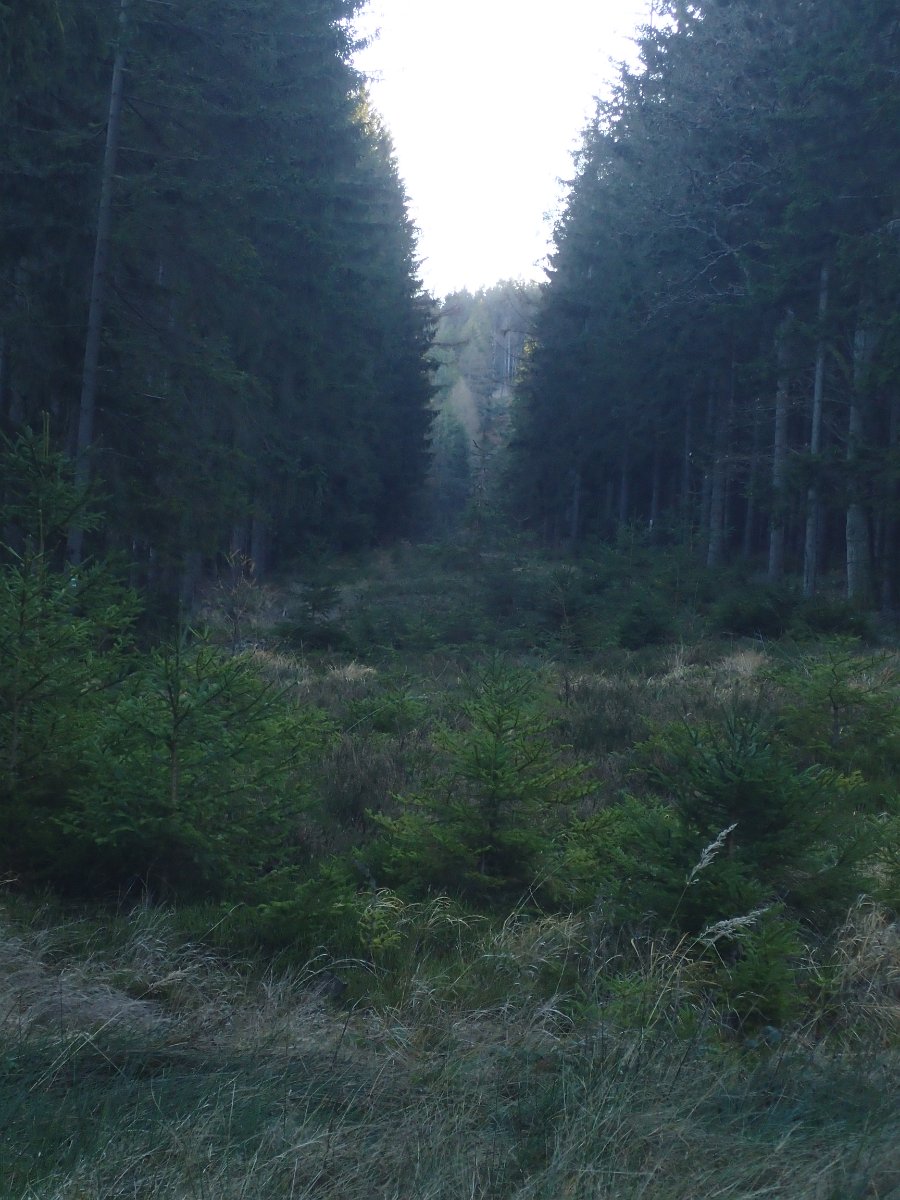 PC102730.JPG