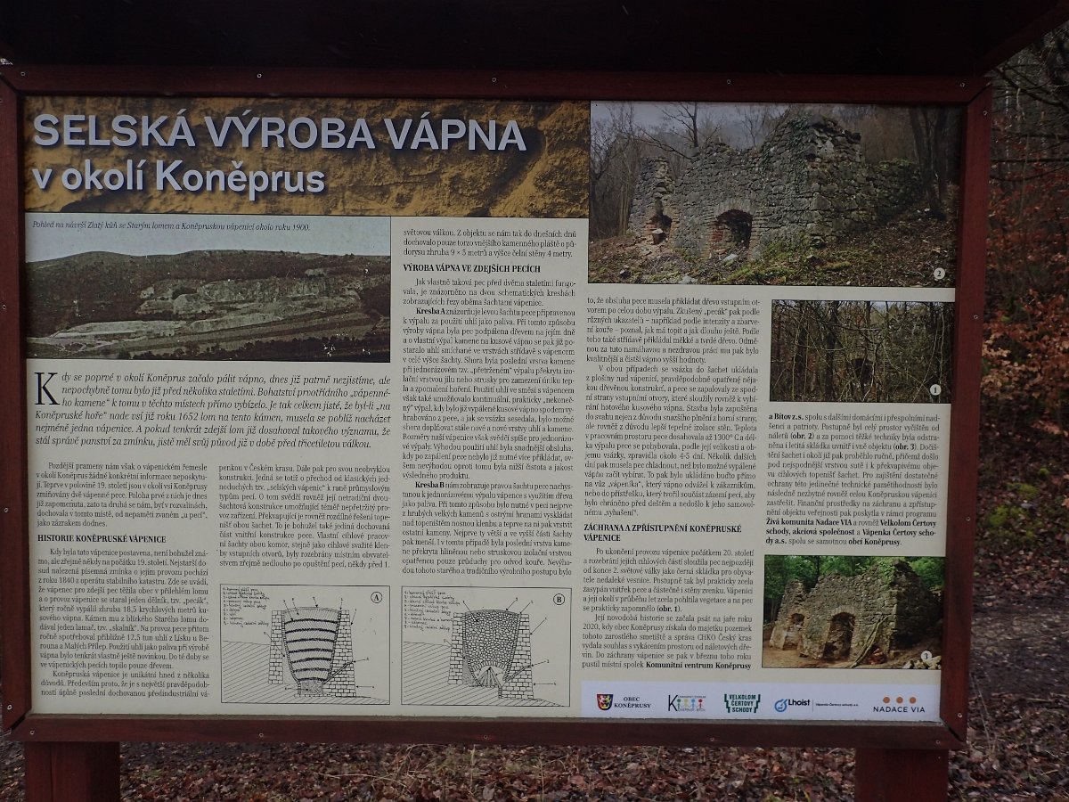 P3123125.JPG