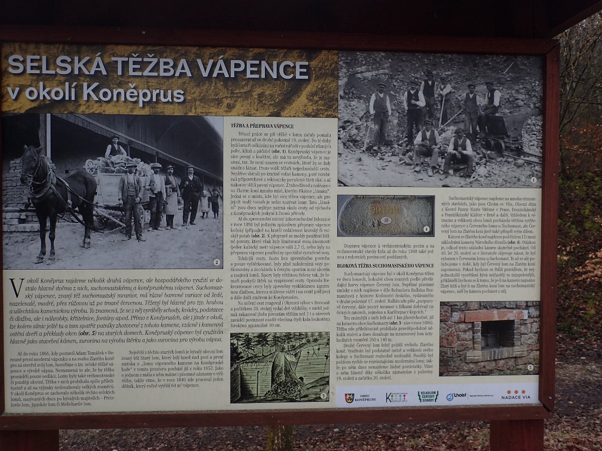 P3123126.JPG