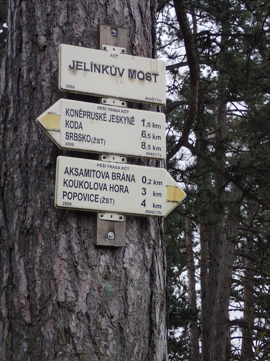 P3123137.JPG