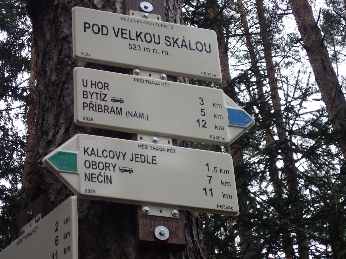 P3253211.JPG
