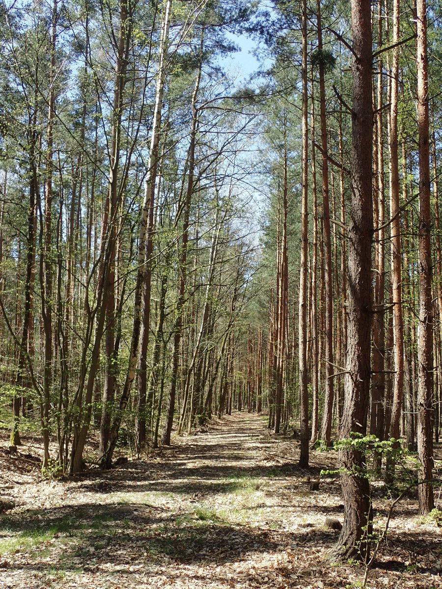 P4223335.JPG
