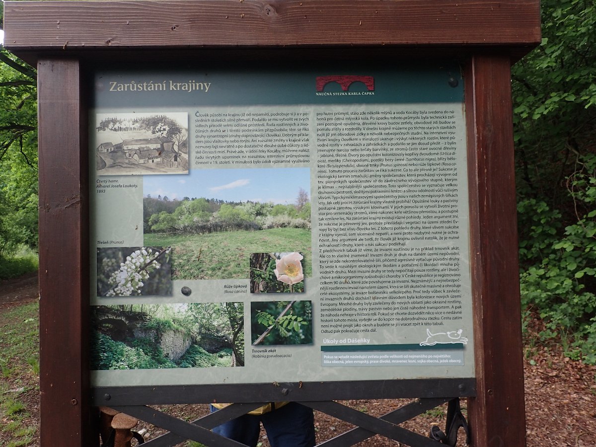P6033384.JPG