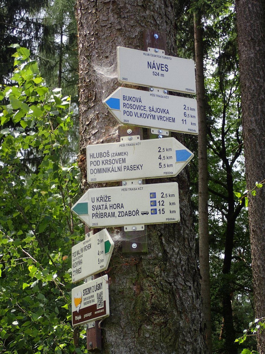 P7083533.JPG