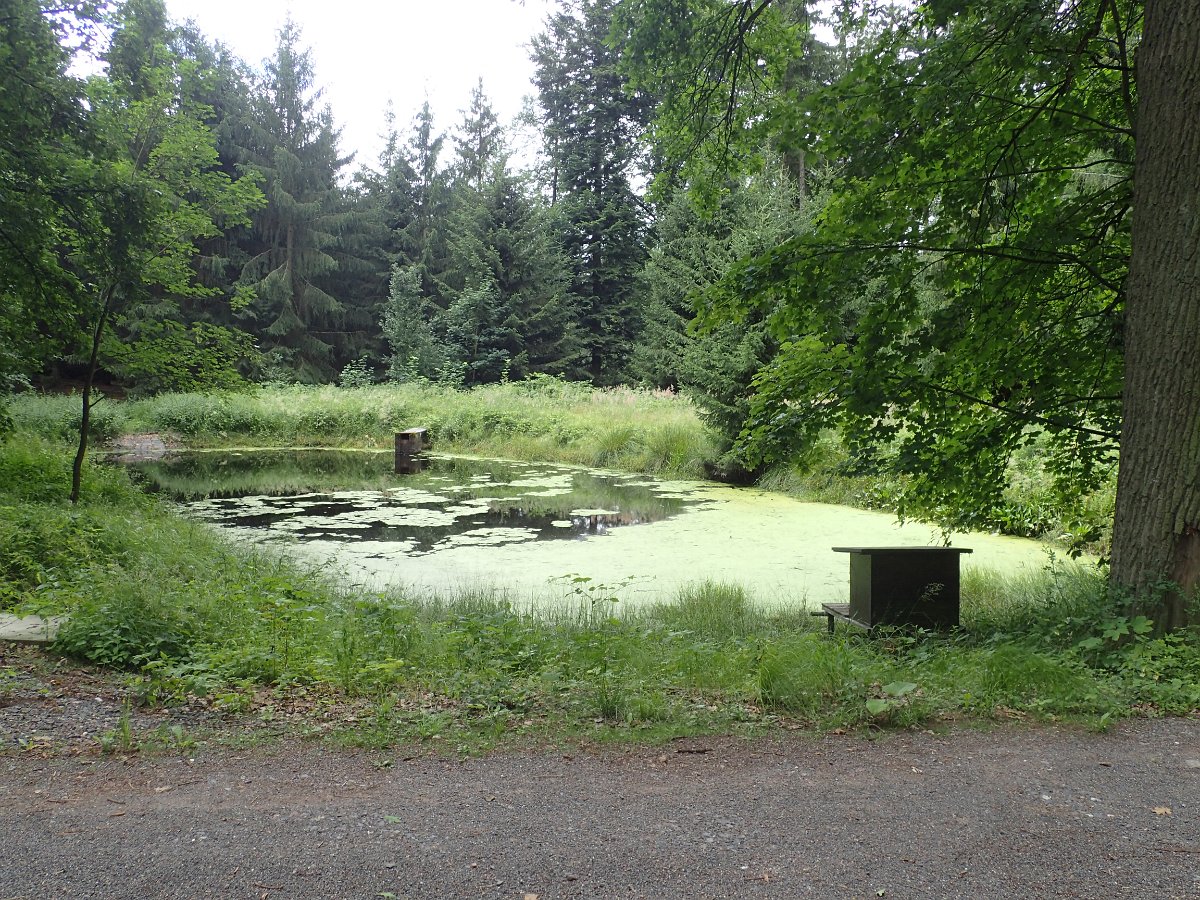 P7083541.JPG