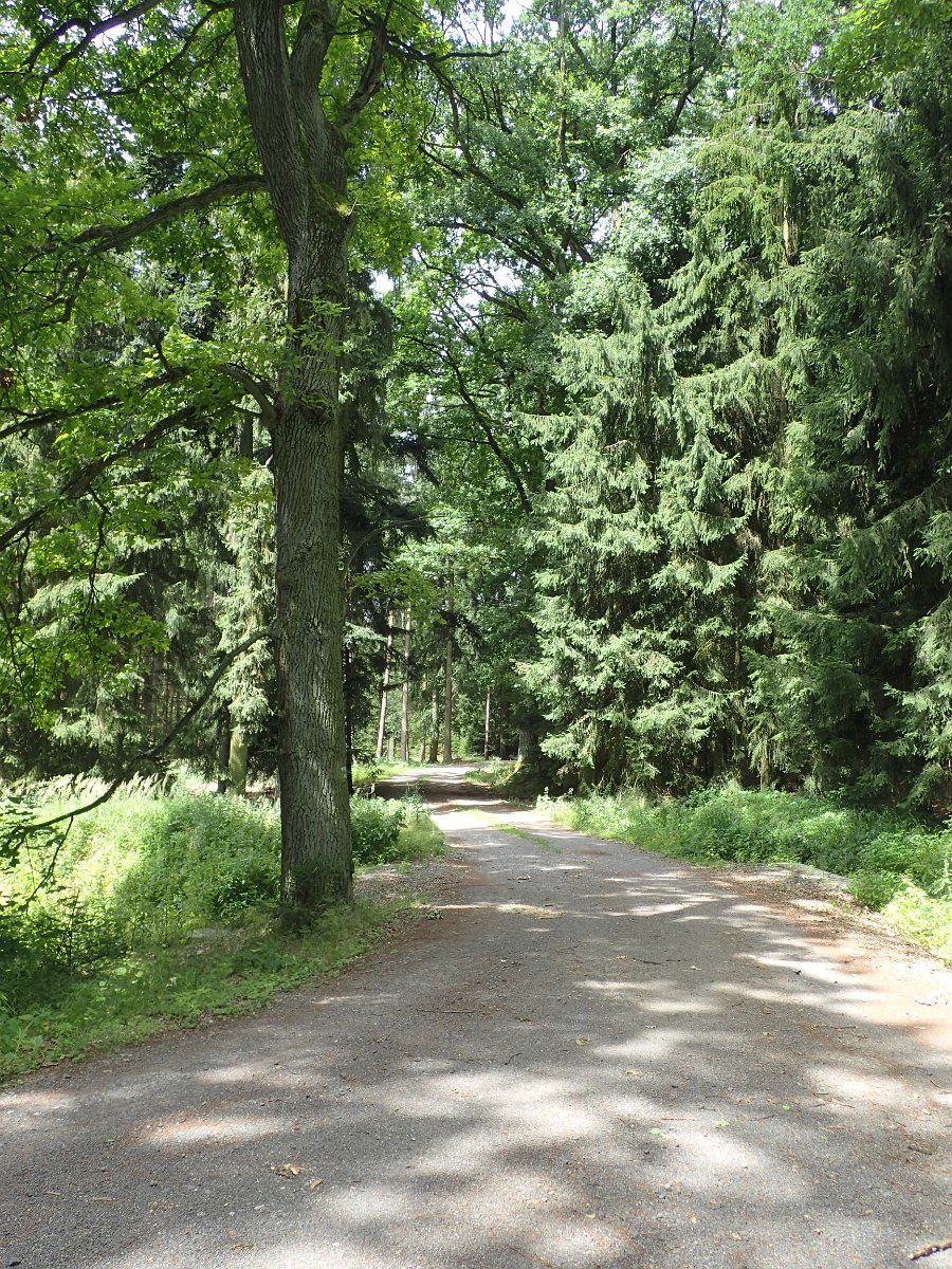 P7083542.JPG