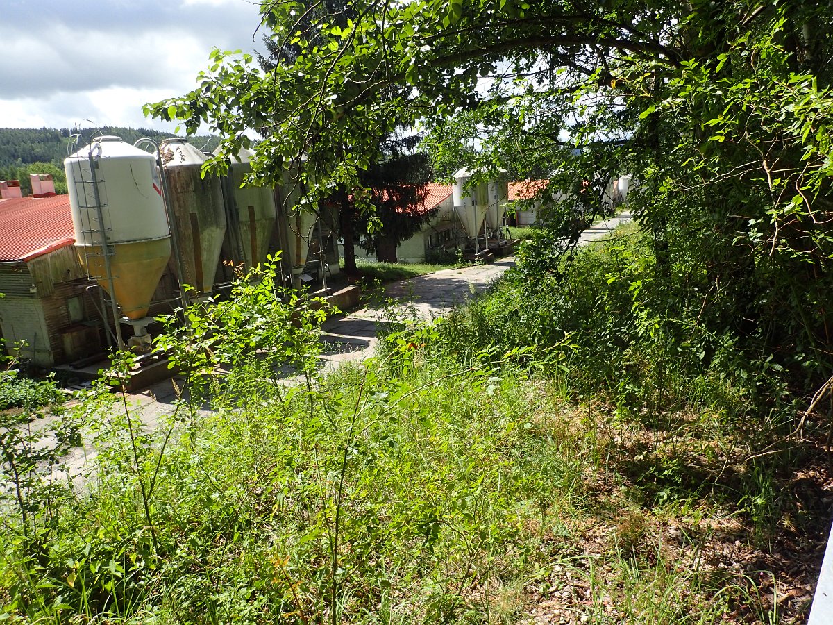 P7083544.JPG