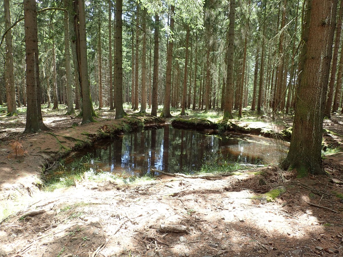 P7083553.JPG