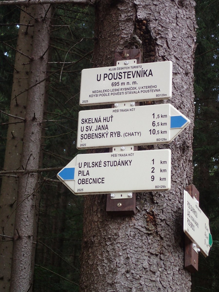 P7153582.JPG