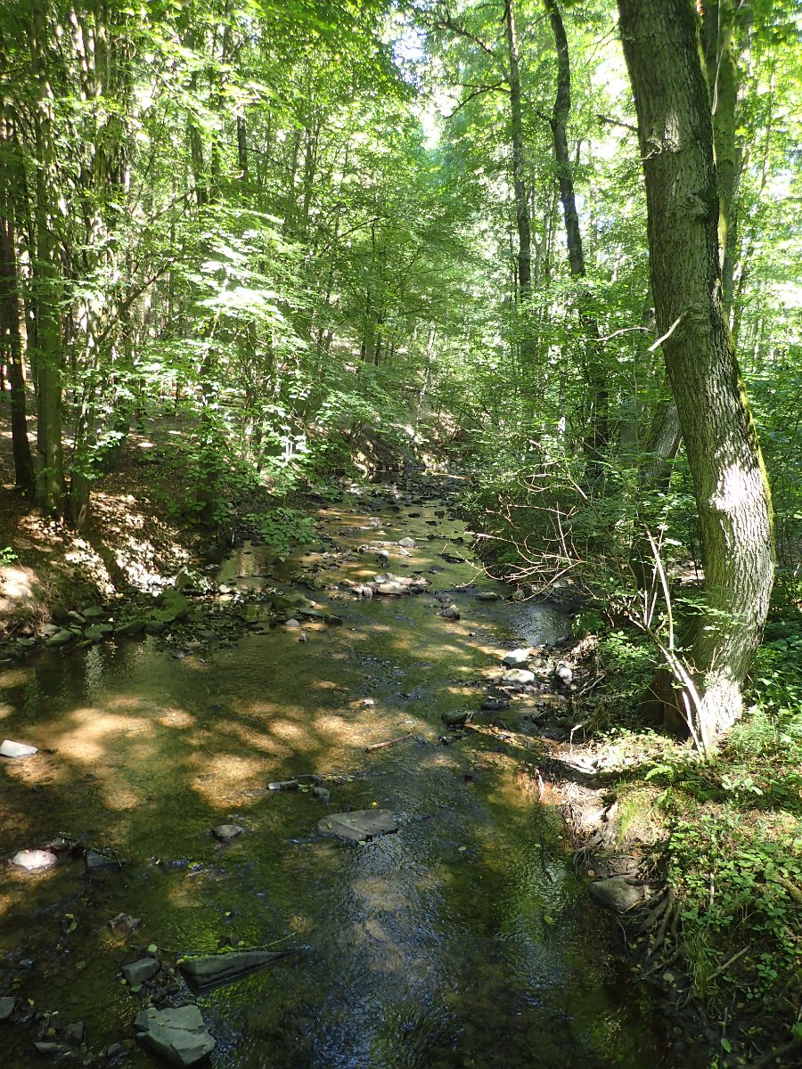 P7293622.JPG