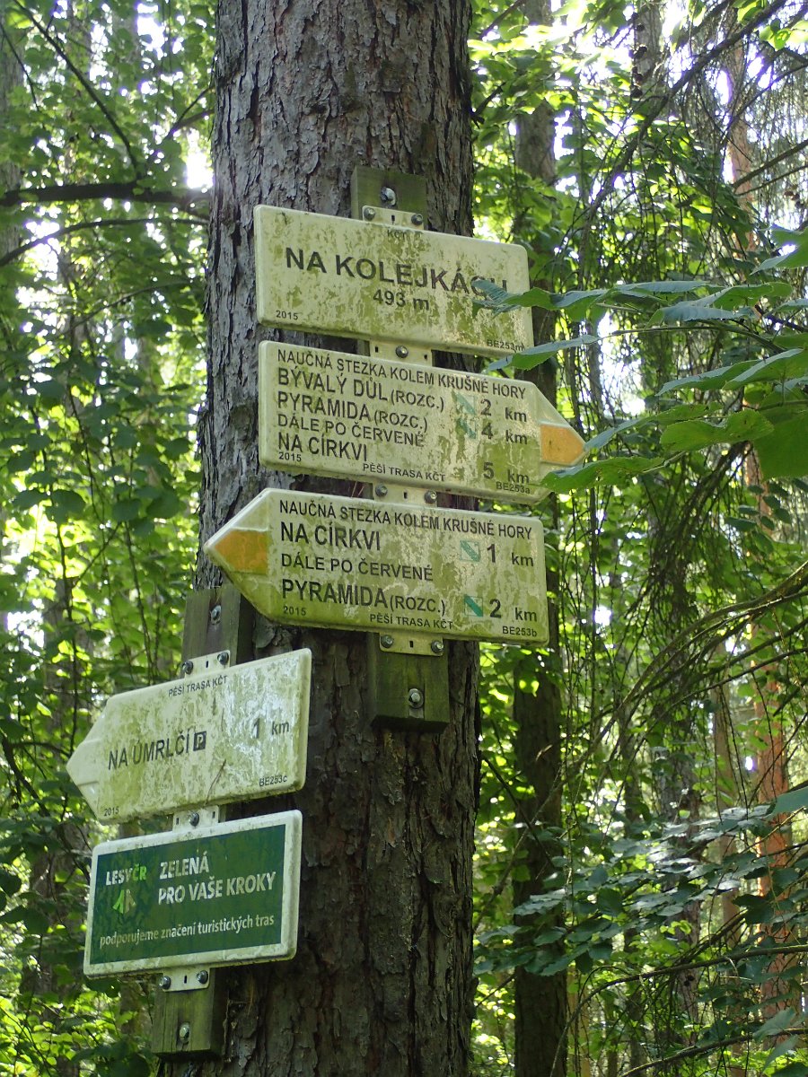 P8273741.JPG