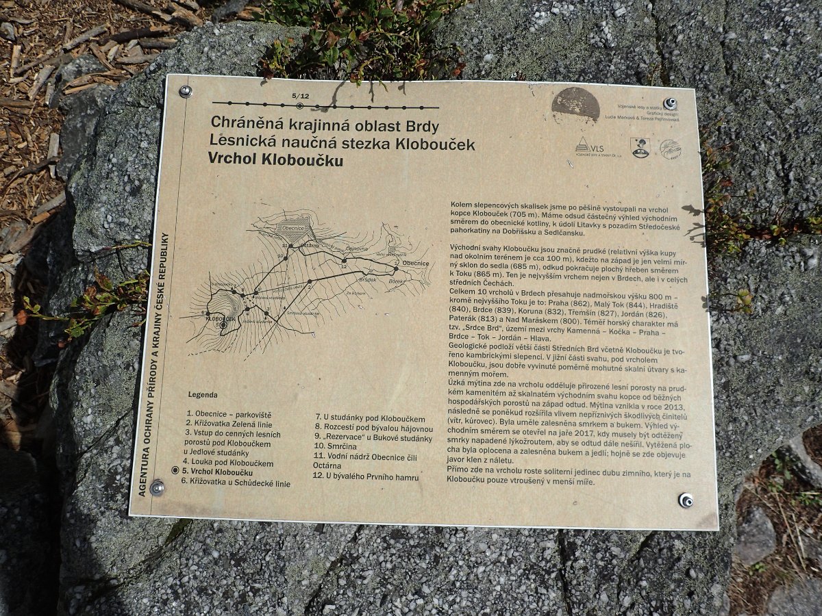 P9013775.JPG