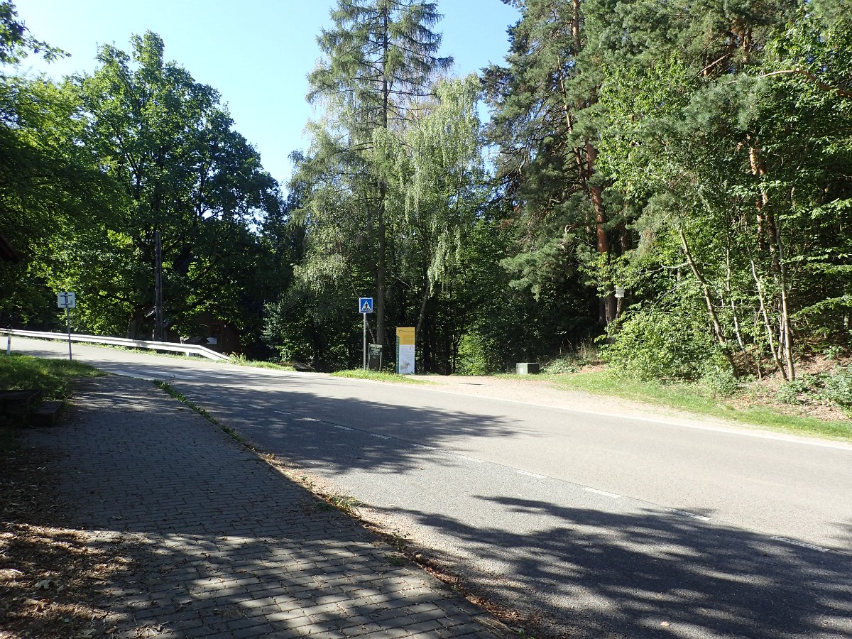 P9083788.JPG