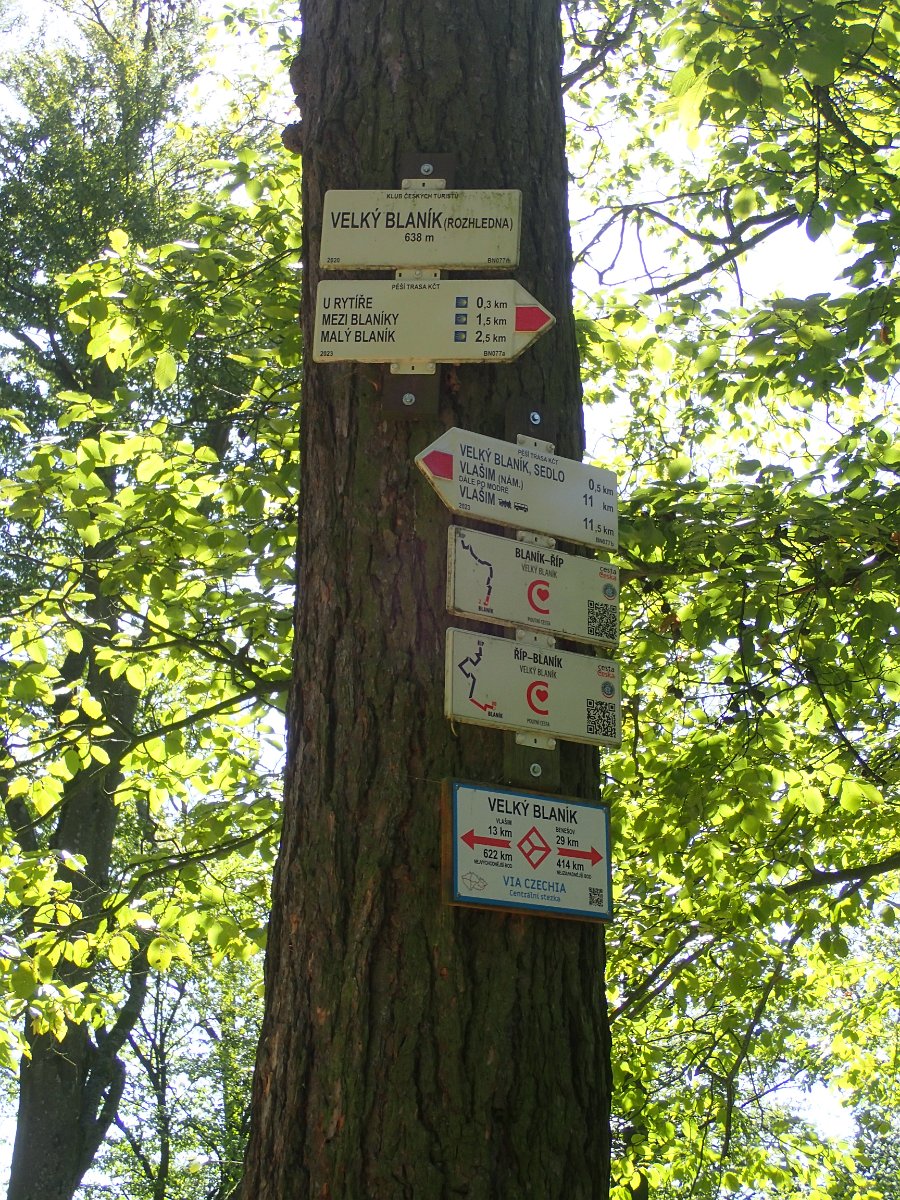 P9083820.JPG