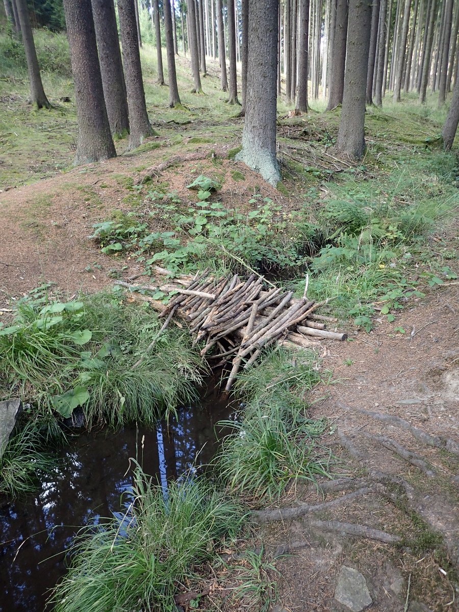 P9233841.JPG