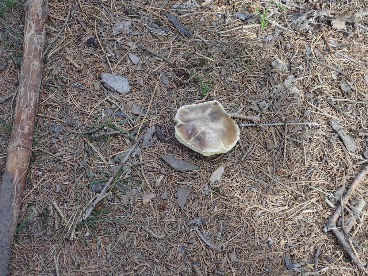 PA073890.JPG