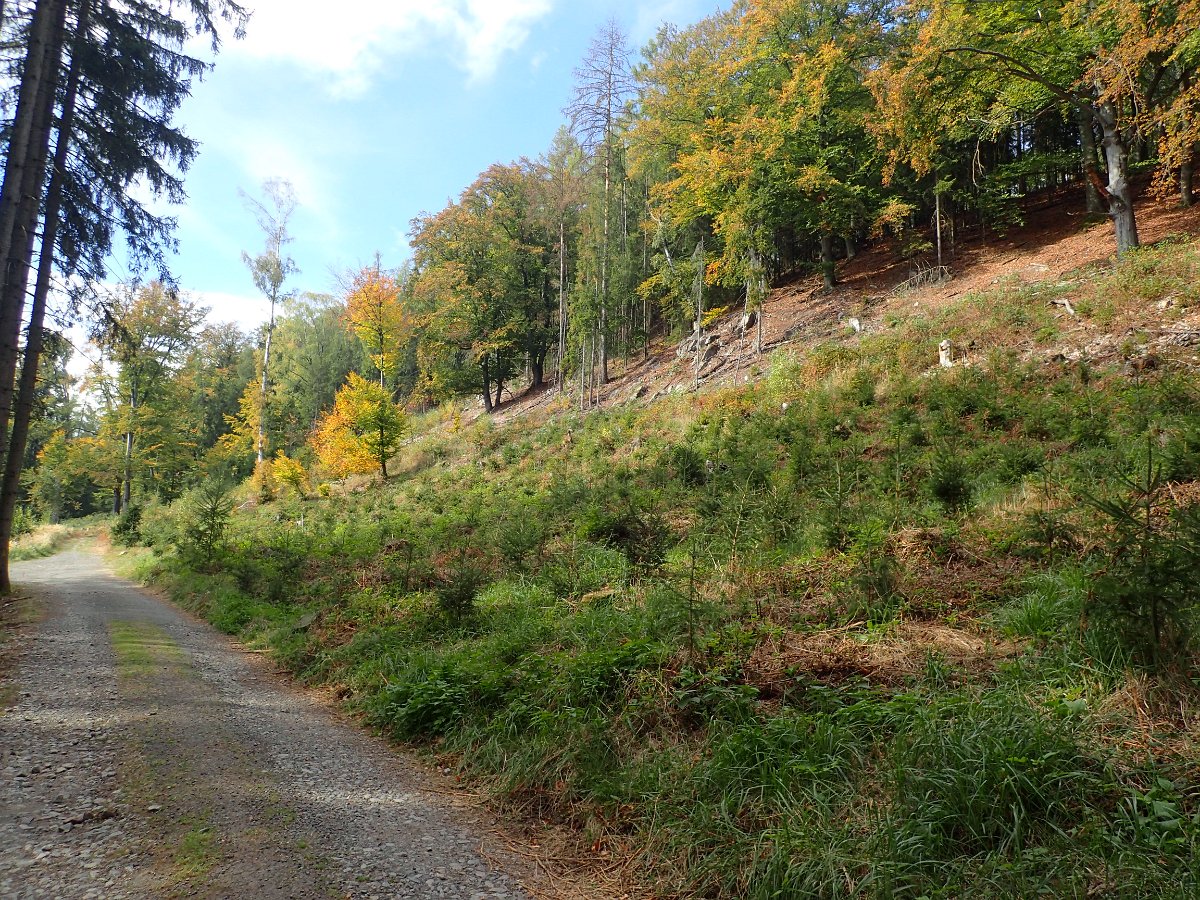 PA073899.JPG