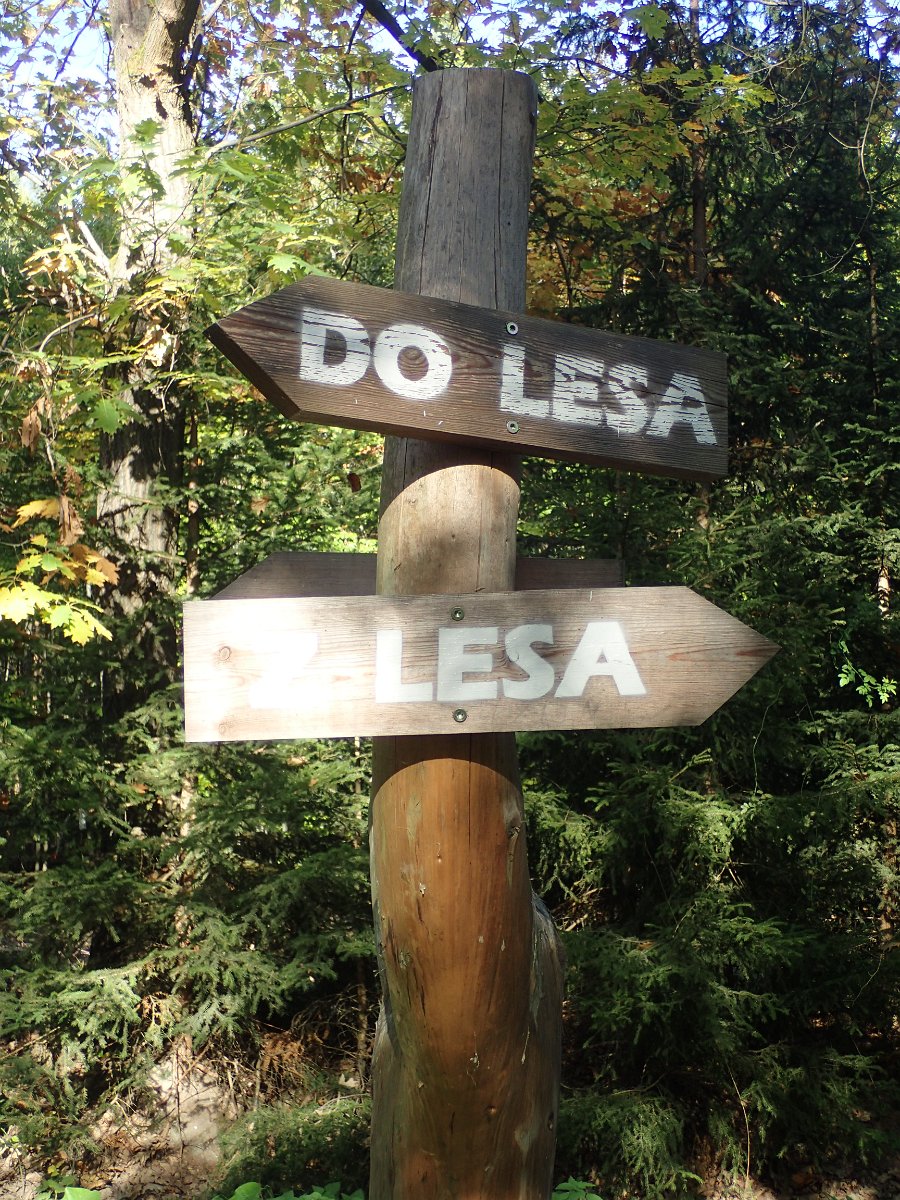 PA073914.JPG