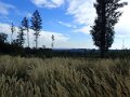 PA073905